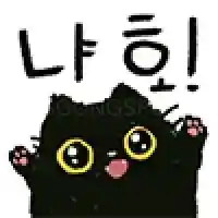 굿나잇콘
